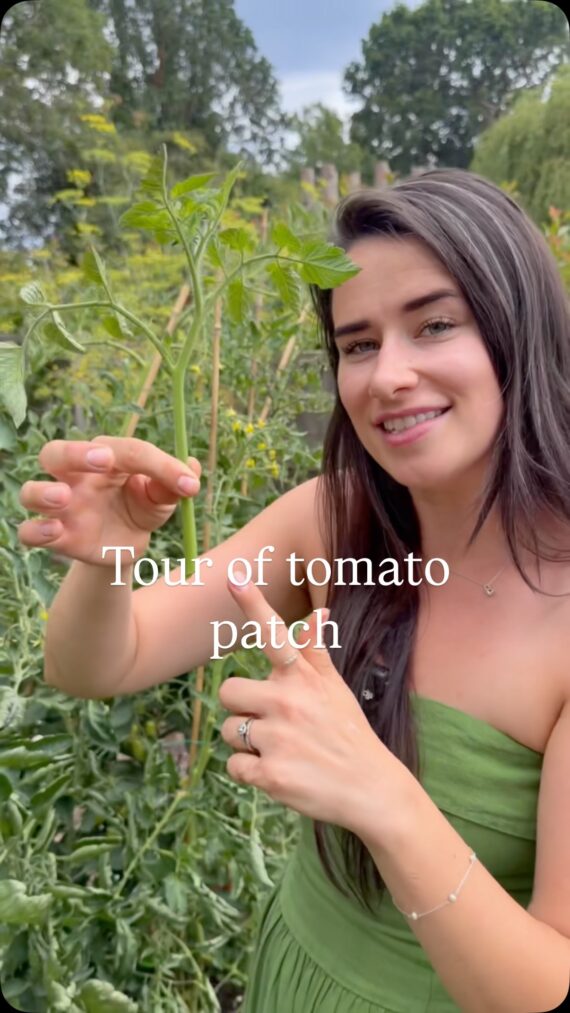 Louise Dickinson DT Brown Seeds
